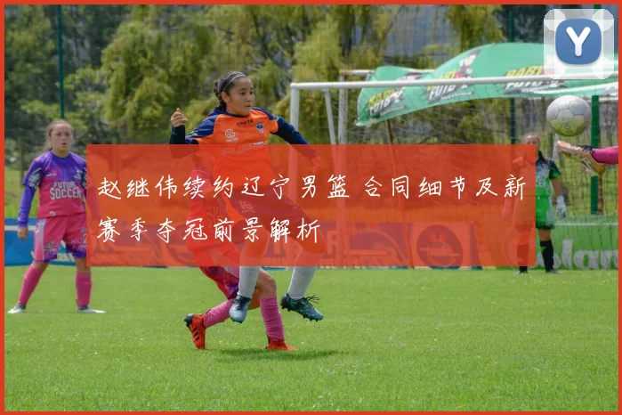 赵继伟续约辽宁男篮 合同细节及新赛季夺冠前景解析