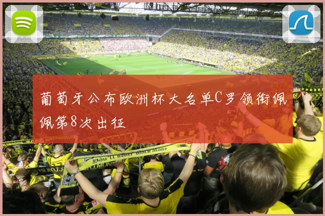 葡萄牙公布欧洲杯大名单C罗领衔佩佩第8次出征