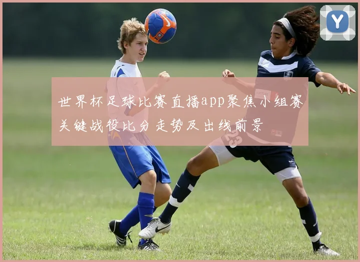 世界杯足球比赛直播app聚焦小组赛关键战役比分走势及出线前景