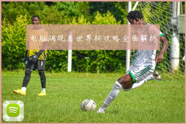 电脑端观看世界杯攻略全面解析