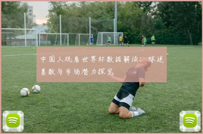 中国人观看世界杯数据解读：球迷基数与市场潜力探究